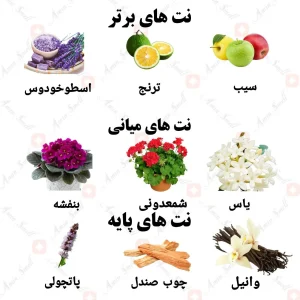 ادکلن یونیسکس لیندلی ولار 