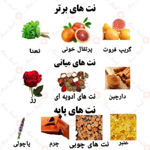 ادکلن مردانه ملودیک ولار