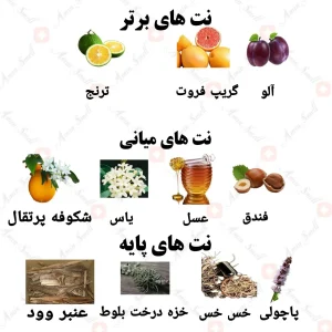 ادکلن مردانه ملودیک الکسیر ولار