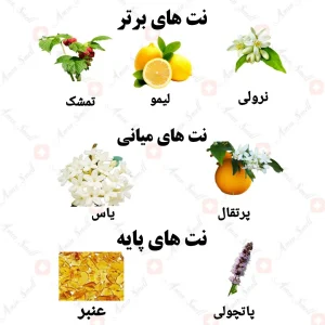 ادکلن زنانه ملودیک لیدی ولار