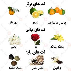 ادکلن زنانه موزیل اورا ولار 