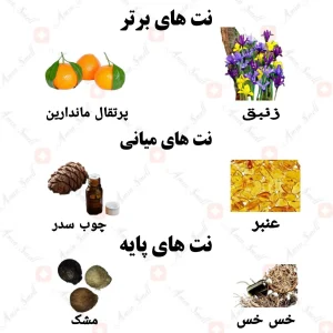 ادکلن یونیسکس مگنیتود 02 ولار 