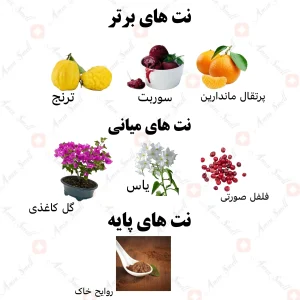 ادکلن یونیسکس نوبل هریتیج ولار 