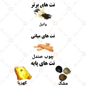 ادکلن زنانه پلیز کلودی دریمز ولار