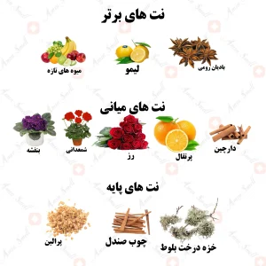 ادکلن زنانه گلاسی ویسپرز ولار