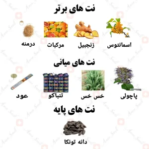 ادکلن یونیسکس ارکتیک نیش کالکشن ولار