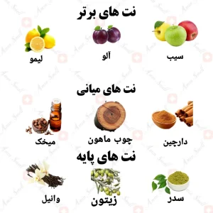 ادکلن ریلود سیلور فور من ولار