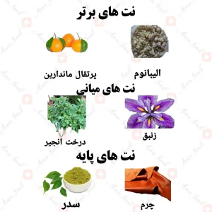 ادکلن ریلود نویت فور من ولار