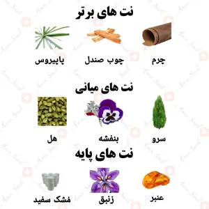 ادکلن یونیسکس سایون نیش کالکشن ولار