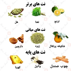 ادکلن مردانه گلادیاتور توایلایت له میل ولار