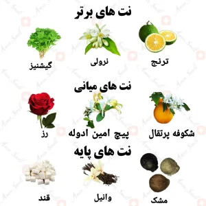 ادکلن زنانه دریمز دونت دای ولار
