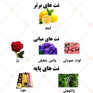 ادکلن زنانه ولوت الکسیر ولار