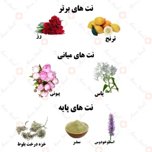 ادکلن یونیسکس گلنس ولار