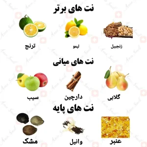 ادکلن یونیسکس استا اورو ولار