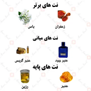 ادکلن یونیسکس سوان نیش کالکشن ولار