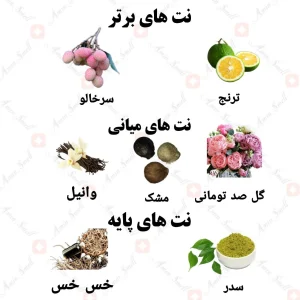 ادکلن زنانه سلینا نیش کالکشن ولار 