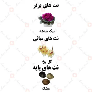 ادکلن زنانه اینتیمیت لاو ولار