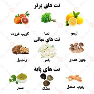 ادکلن مردانه الهوم بلو ولار