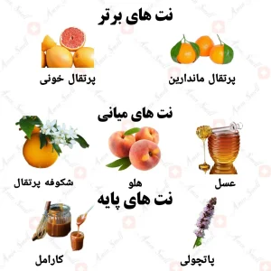 ادکلن زنانه سرین ولار