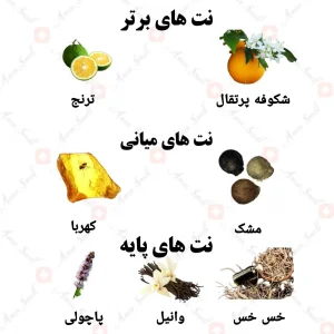 ادکلن زنانه نانسیا فور هر ولار