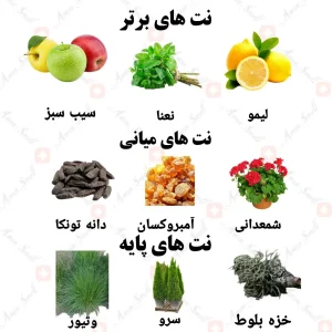 ادکلن مردانه وراسیت بلو ولار 