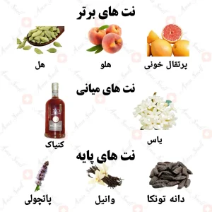 ادکلن یونیسکس پیچ ابسولو ولار