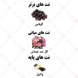 ادکلن زنانه پیور سداکشن سکرت اینتنس ولار