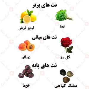 ادکلن یونیسکس آمازون رین فال ولار