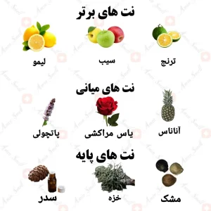 ادکلن مردانه آوانس ولار 