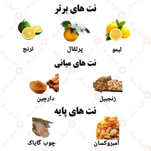 ادکلن مردانه ارکتیک بریز ولار