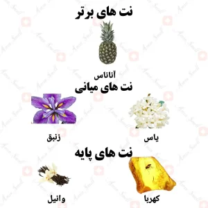 ادکلن یونیسکس انامور سنتو ولار 