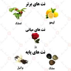 ادکلن زنانه جاست فور یو ولار 