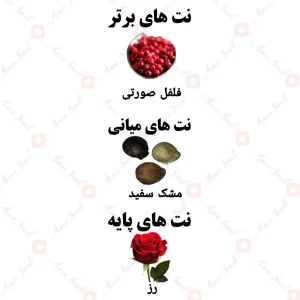 ادکلن زنانه رومنتیک رز ولار 