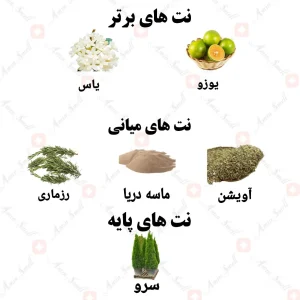 ادکلن سانتورینی بیچز ولار
