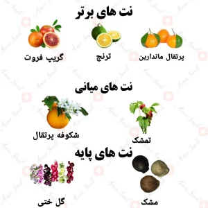 ادکلن زنانه سلین پور فم ولار