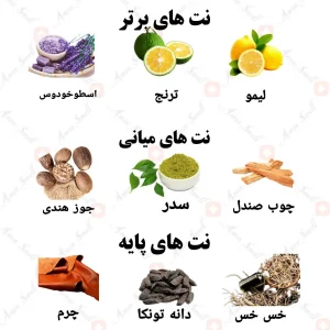 ادکلن مردانه فرنتیک ولار