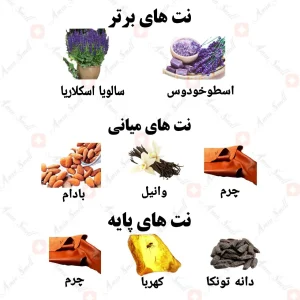 ادکلن مردانه فنتستیک اکستریت ولار