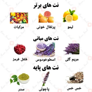 ادکلن مردانه مجستی ولار