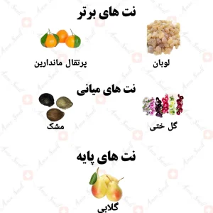 ادکلن یونیسکس موراکن دریم ولار