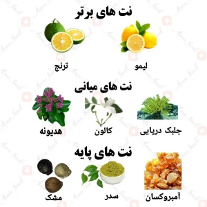 ادکلن یونیسکس مگادوس ولار