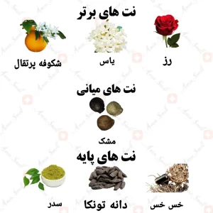 ادکلن زنانه نانسیا پودری ولار