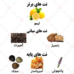 ادکلن مردانه نوبلنس ادو پارفوم ولار 