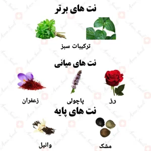 ادکلن یونیسکس انامور رژ ولار
