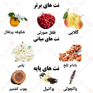 ادکلن اوپوس نویت ولار