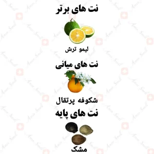 ادکلن یونیسکس رایز اند شاین ولار