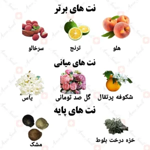 ادکلن یونیسکس فلورال نارکوز ولار