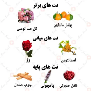 ادکلن زنانه فلورین ولار