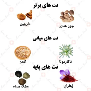 ادکلن مردانه نوبلنس د وایلد ولار | Nobleness The Wild Volare