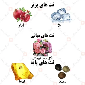 ادکلن زنانه وراسیت پینک ولار 