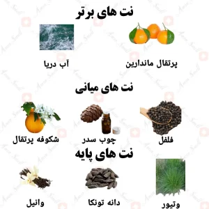 ادکلن مردانه امبیشن من ولار